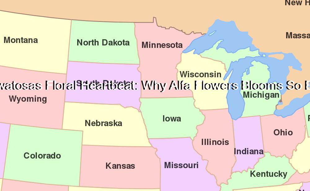 Wauwatosas Floral Heartbeat: Why Alfa Flowers Blooms So Bright